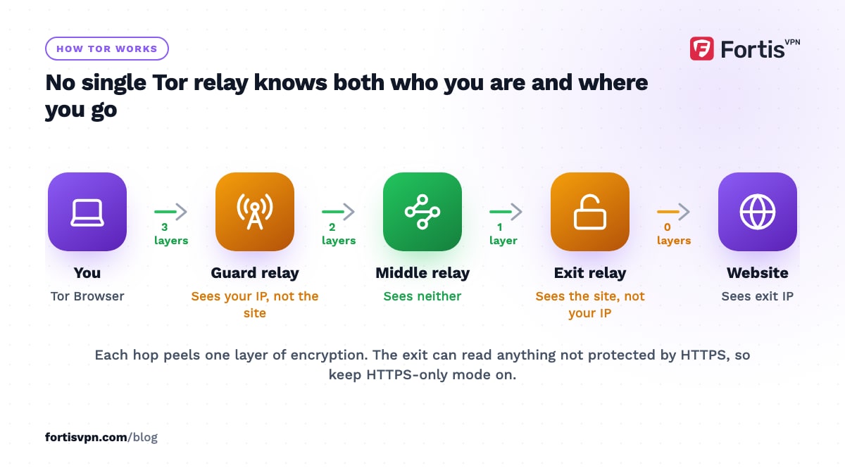Flow of Tor traffic from your browser through guard, middle and exit relays to a website, showing what each relay can see