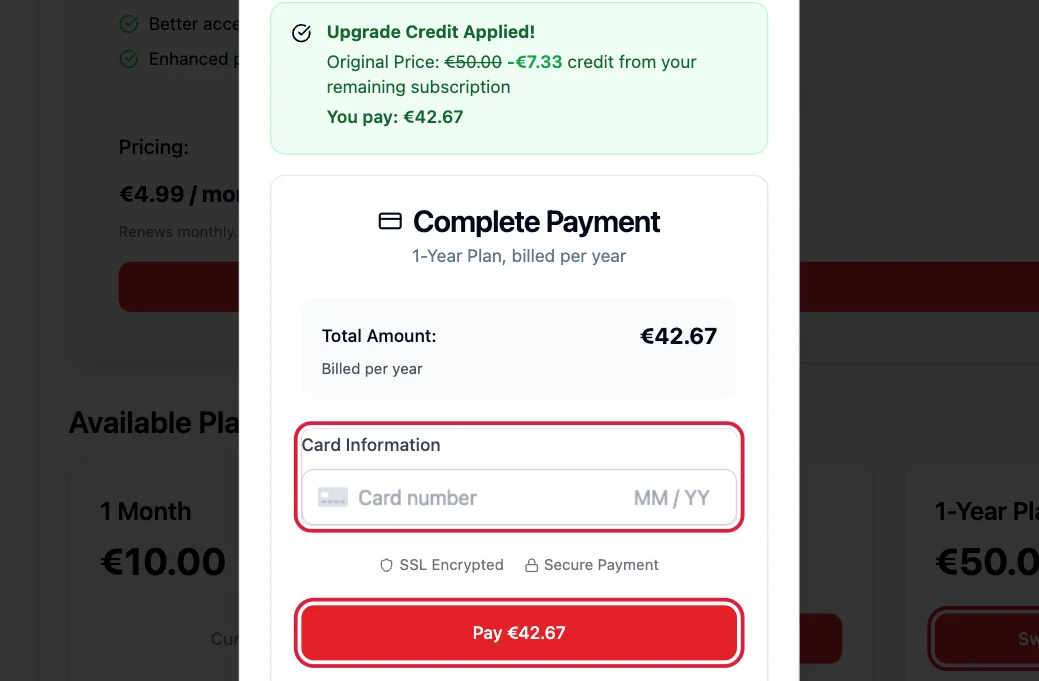 The credit applied, the card box and the Pay button highlighted